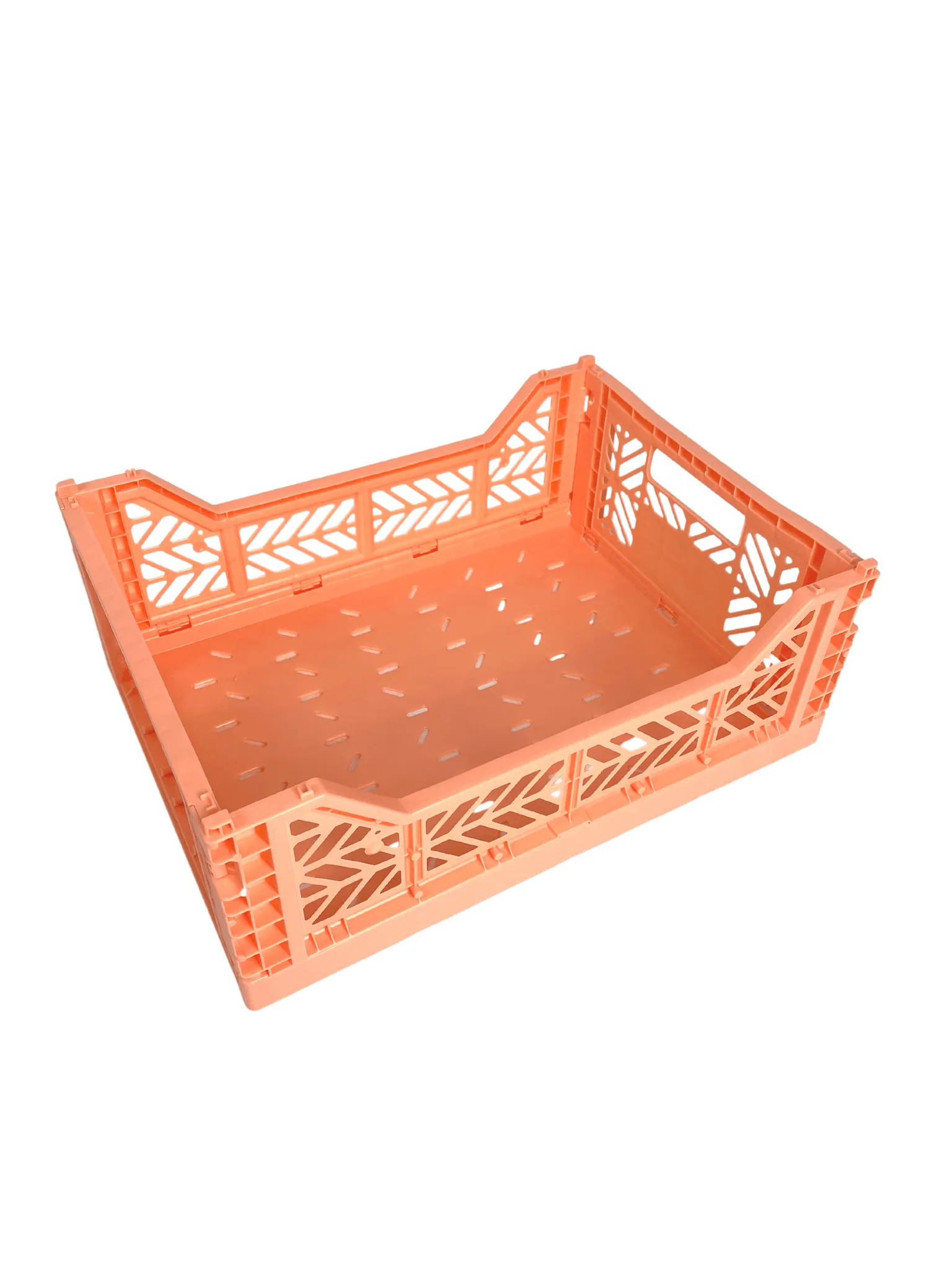 Aykasa Coral Folding Crate- Medium