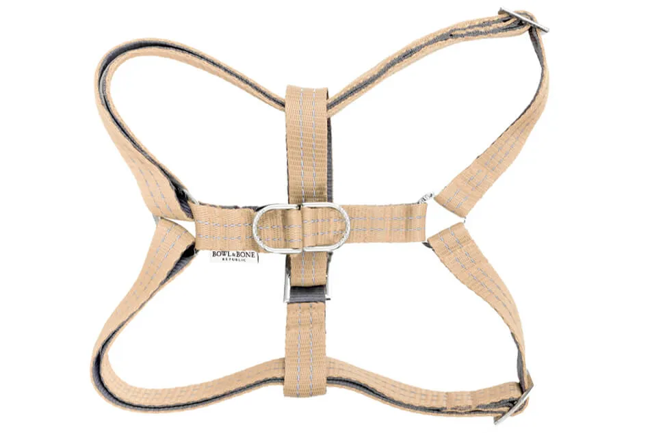 Bowl and Bone Active Beige Dog Harness and Lead Set