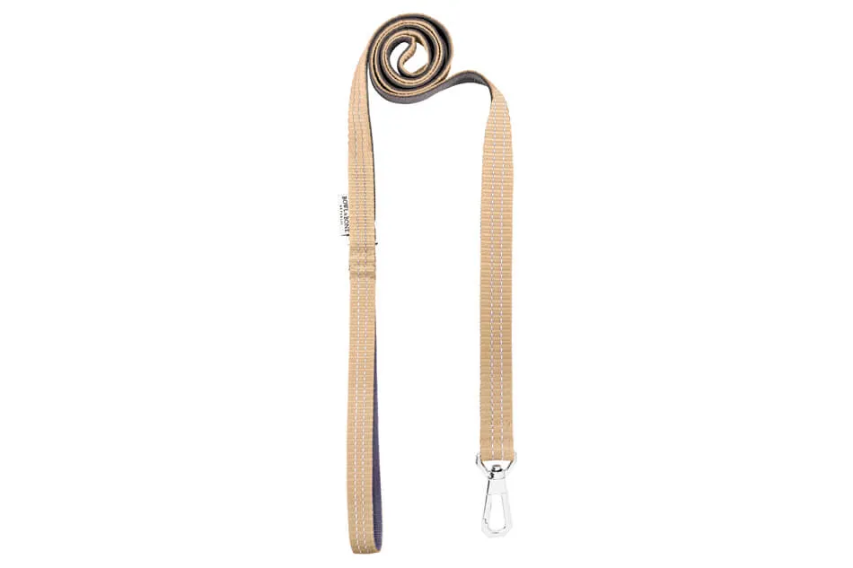 Bowl and Bone Active Beige Dog Harness and Lead Set