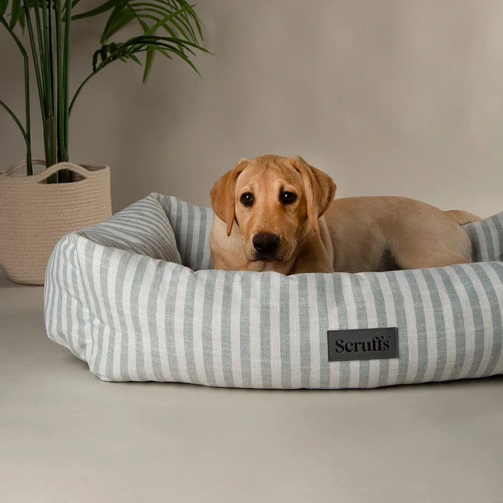 Coastal Box Dog Bed - Green