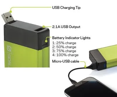 Flip 30 Recharger