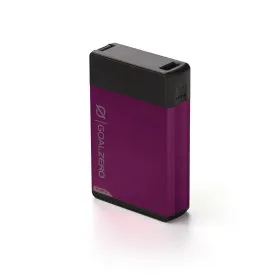 Flip 30 Recharger
