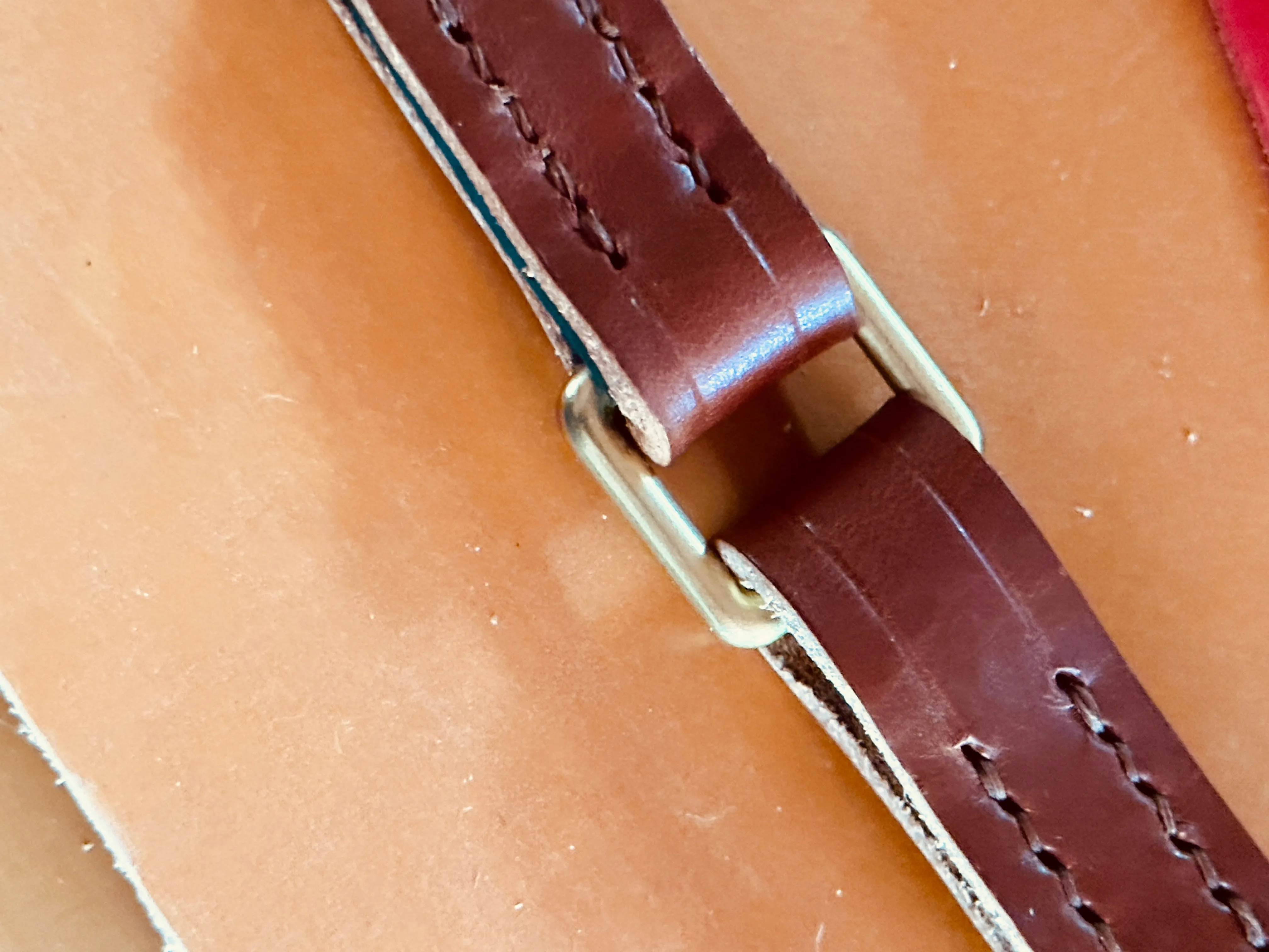 Leather   Biothane Collar   Leash Set Two tone Forest Green & Sedgwick English Bridle Veg Tanned Hazel Wear Over the Shoulder Leash w/Solid Brass