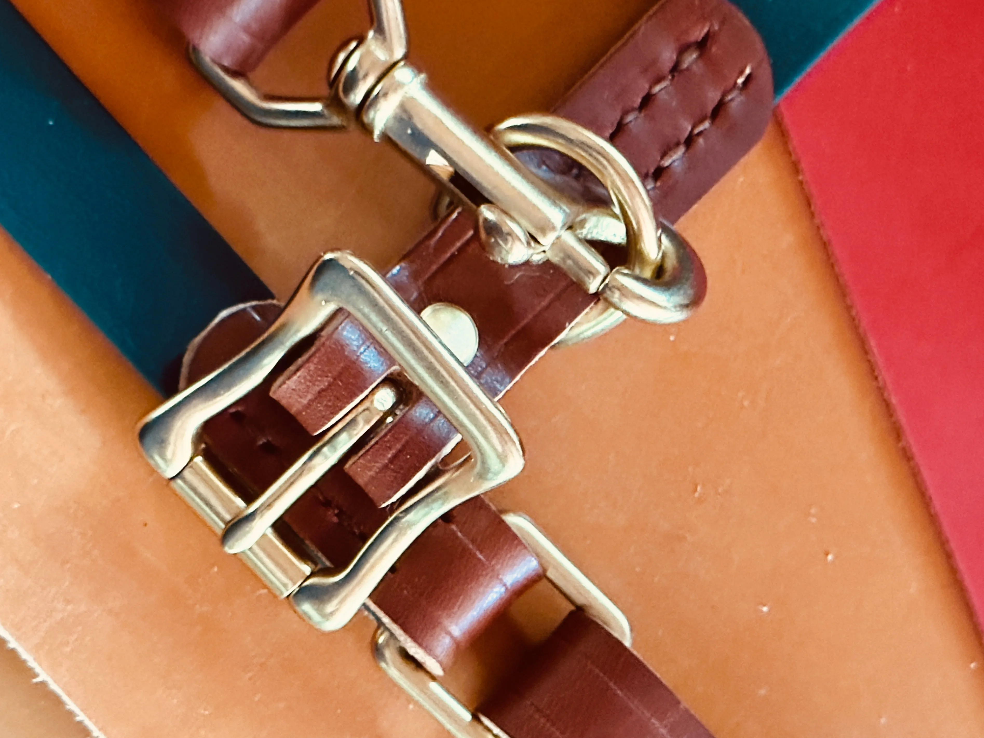 Leather   Biothane Collar   Leash Set Two tone Forest Green & Sedgwick English Bridle Veg Tanned Hazel Wear Over the Shoulder Leash w/Solid Brass