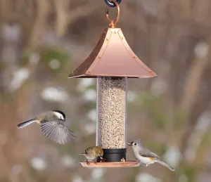Palazzo Bird Feeder